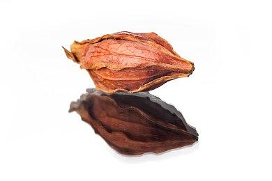 《狗仔模拟器》上架Steam 支持中文2022年发售